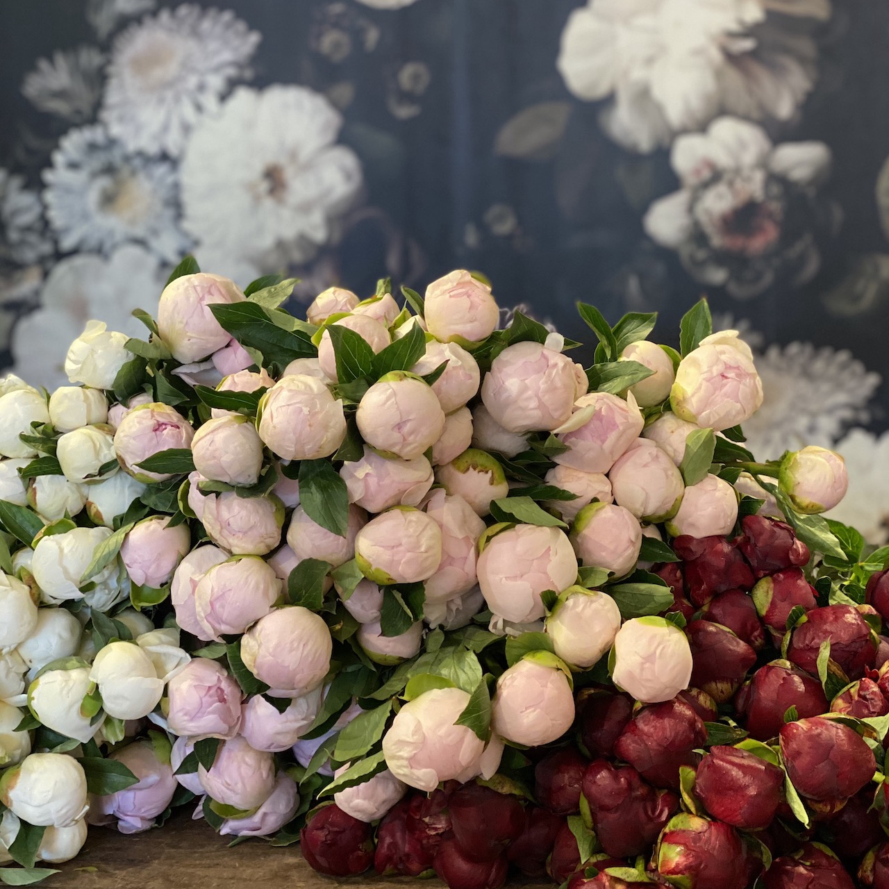 Peonies en masse - Image 4
